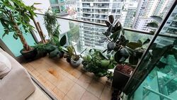 Amaryllis Ville (D11), Condominium #579047881